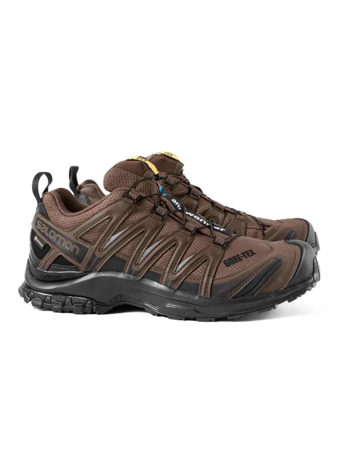 and wander 133 SALOMON × XA PRO 3D GORE–TEX Fashion