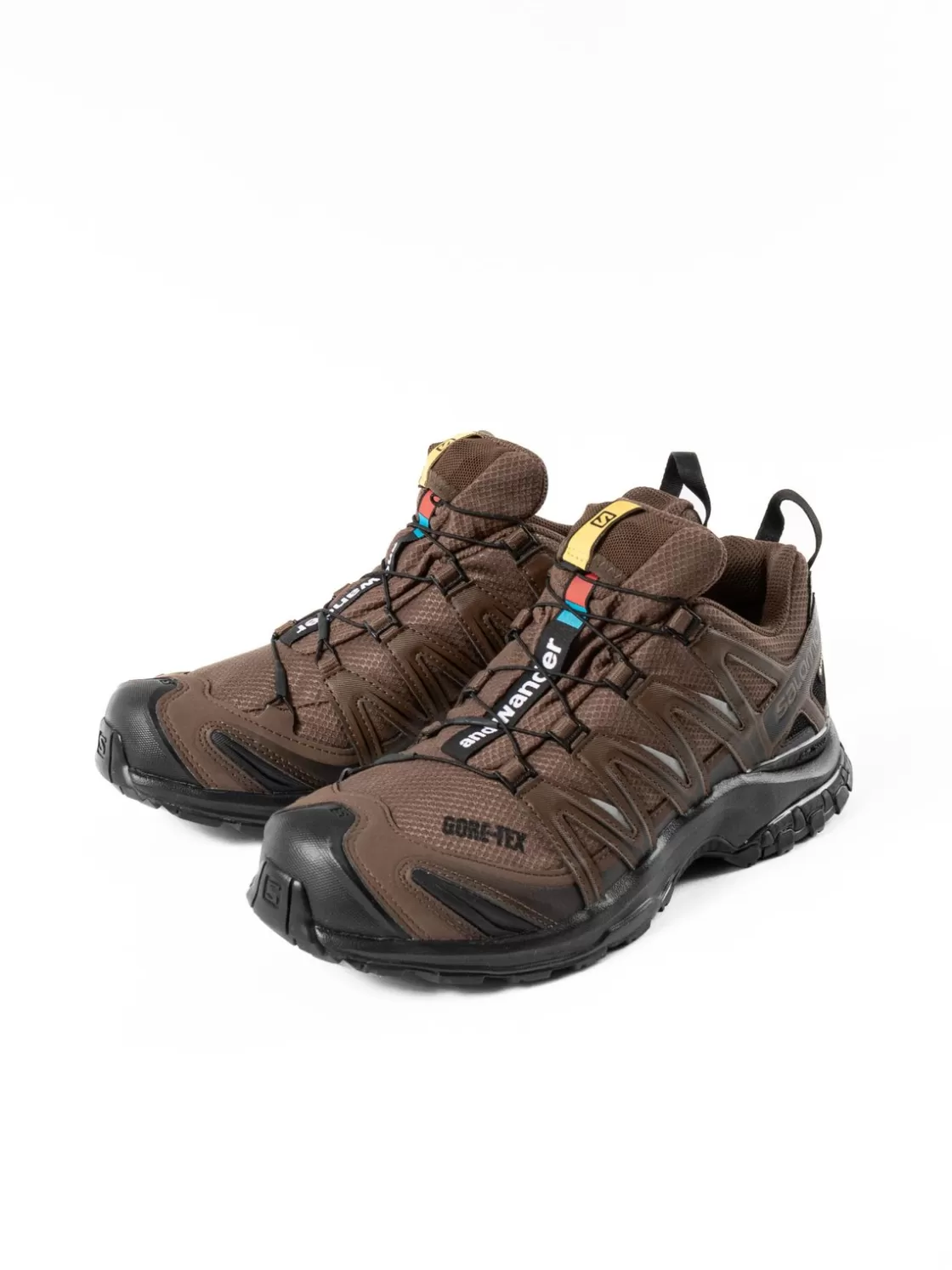 and wander 133 SALOMON × XA PRO 3D GORE–TEX Fashion